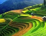 TOUR MAI CHÂU – MỘC CHÂU – ĐIỆN BIÊN – LAI CHÂU – SAPA