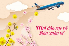 Vận chuyển cành đào, cành mai đón tết Quý Mão 2023 - Vietnam AirlInes