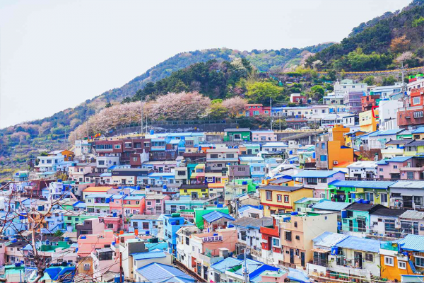 Top trải nghiệm ở Busan thú vị khám phá hết thành phố biển yên bình