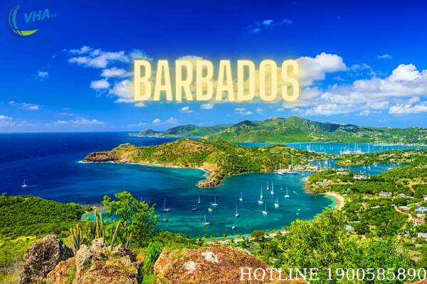Vé máy bay giá rẻ nhất đi Barbados