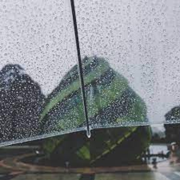 Kinh nghiệm du lịch Đà Lạt mùa mưa tại đại lý vé máy bay giá rẻ