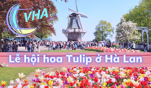 Cùng VHA Khám phá lễ hội hoa tulip ở Hà Lan