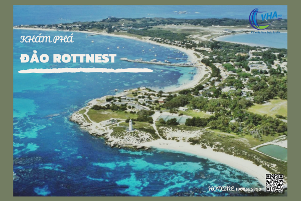 Đặt vé máy bay giá rẻ khám phá đảo Rottnest phía tây Úc