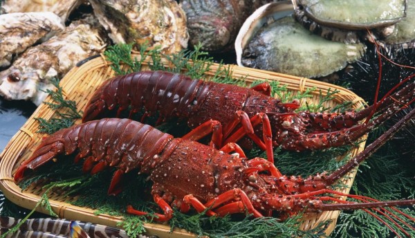 Săn vé giá rẻ đi Côn Đảo -  Tôm hùm lửa – hải sản đặc biệt không thể bỏ lỡ
