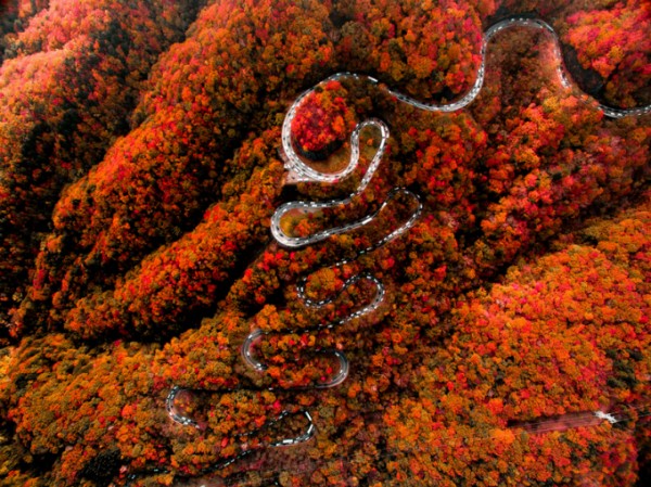 Vé máy bay quốc tế - Bức tranh mùa thu nơi con đường nguy hiểm bậc nhất thế giới ở Nhật