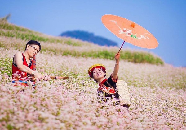 Cùng VHA – Đại lý vé máy bay chiêm ngưỡng hoa tam giác mạch Hà Giang