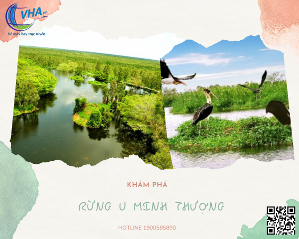 Tìm vé máy bay giá rẻ khám phá rừng U Minh Thượng – Kiên Giang