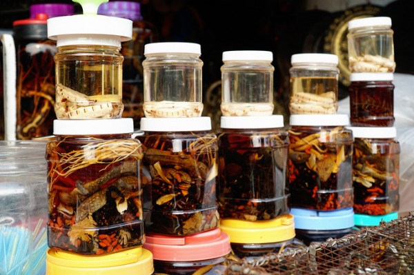 Đại lý vé máy bay – Rượu côn trùng độc tại chợ biên giới Tịnh Biên