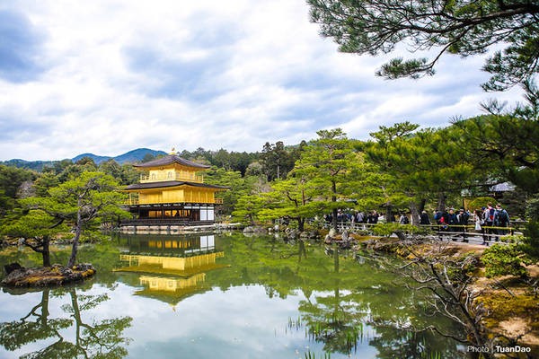 Tổng đài vé máy bay – Ngôi chùa dát vàng ở Kyoto