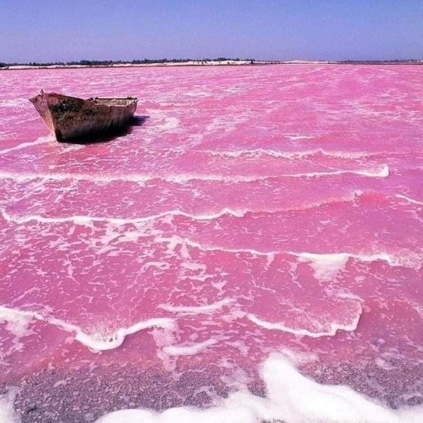 Săn vé bay giá rẻ  –   Hồ nước hồng độc đáo ở Australia