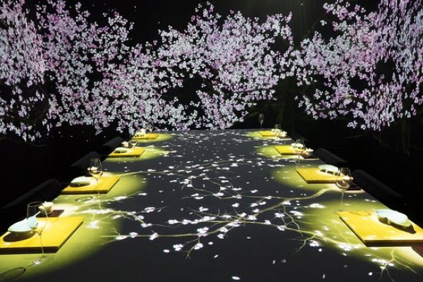 Vé máy bay giá rẻ nhất khám phá nhà hàng ánh sáng 3D cực đẹp ở Tokyo