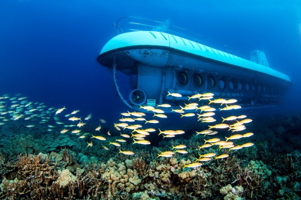 Đại lý Bamboo Airways – Chiêm ngưỡng tàu ngầm ở Maldives dưới đáy biển