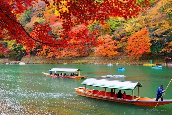 Đại lý vé máy bay trực tuyến – ngắm mùa lá đỏ Nhật Bản