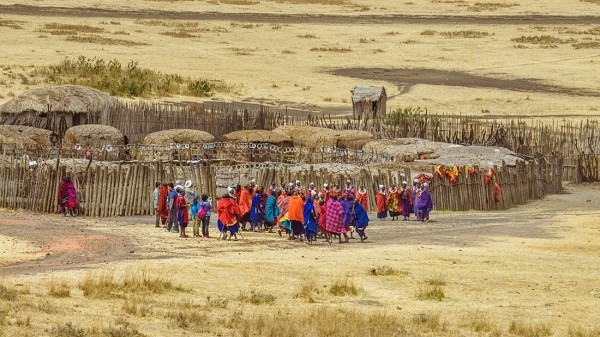 Tổng đài vé máy bay – Ngôi làng người Maasai – nơi đàn ông được cưới nhiều vợ.