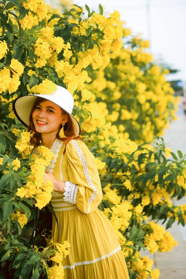 Tổng đài vé máy bay – Check-in ngay mùa hoa Chuông Vàng đang nở rộ ở Sài Gòn