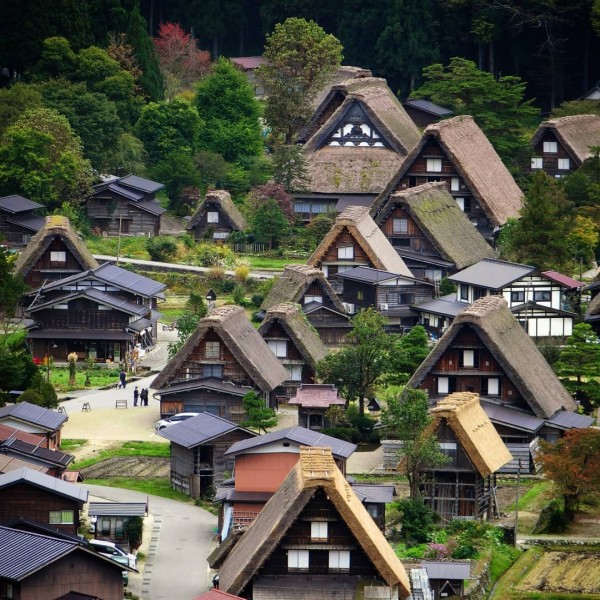 Tổng đài vé máy bay –Ghé tham quan ngôi làng cổ Gokayama đẹp như cổ tích