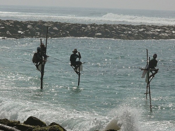 Tổng đài vé máy bay – Nghệ thuật câu cá trên cọc kheo của các ngư dân Sri Lanka
