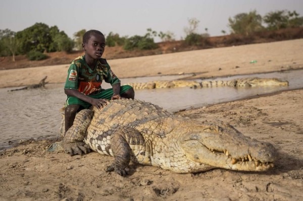 Tổng đài vé máy bay –  Ngôi làng sống cùng hàng trăm con cá sấu