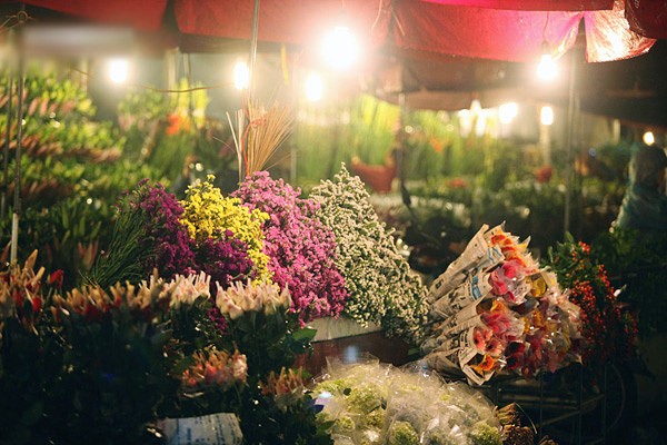 Vé máy bay giá rẻ - Khám phá chợ hoa Tết đẹp say lòng người ở Hồ Chí Minh 
