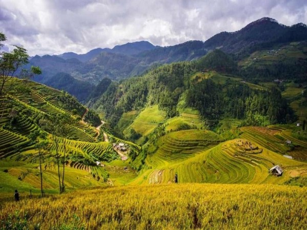 Giá vé bay nội địa – Những thung lũng đẹp như tranh vẽ ở Việt Nam