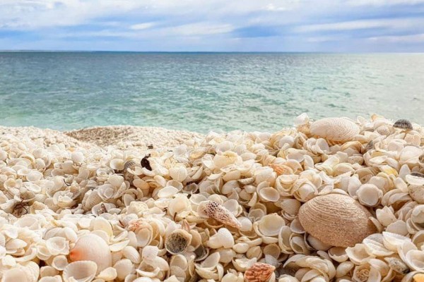 Đặt vé máy bay giá rẻ khám phá bãi biển vỏ sò độc đáo ở Australia