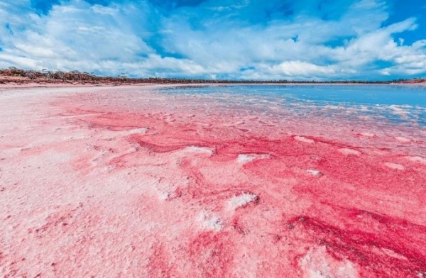 Đặt vé máy bay giá rẻ khám phá hồ nước hồng độc đáo ở Australia