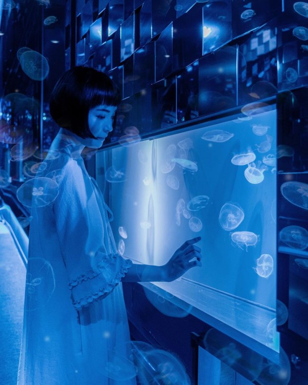 Săn vé giá rẻ check-in thủy cung Sumida Aquarium đẹp lung linh huyền ảo